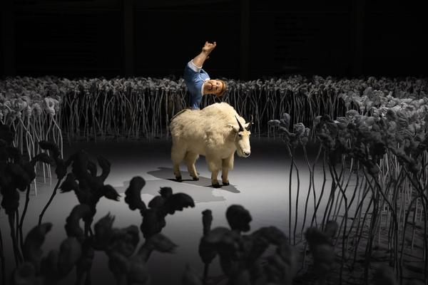 Kunsthalle Krems: Patricia Piccinini. Embracing the Future (27.3. - 3.10.2021) https://www.kunsthalle.at/de/ausstellungen/19-patricia-piccinini-embracing-the-future | Foto: eSeL Foto: eSeL.at - Lorenz Seidler