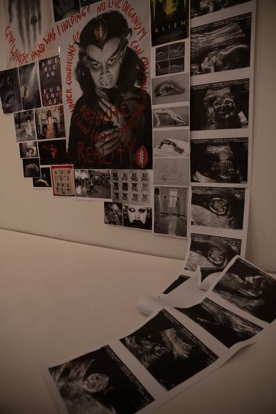 Motherboard Projektraum / The Dodo Project: Queer Anatomy (18.3. - 25.3.2021) https://esel.at/termin/108649 | Foto: eSeL Foto: eSeL.at - Lorenz Seidler