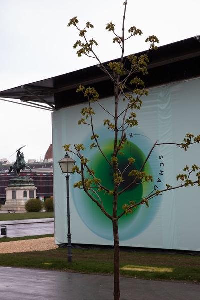 Heldenplatz: Steiermark-Schau zu Gast in Wien (7.4. (online) - 18.4.2021) https://esel.at/termin/108154 | Foto: eseL Foto: eSeL.at - Lorenz Seidler