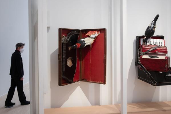Landesgalerie Niederösterreich: We are Everywhere. The Cliffhanger Collection (22.5. - 12.9.2021) https://www.lgnoe.at/en/exhibitions/11-steinbrener-dempf-huber | Foto: eSeL Foto: eSeL.at - Lorenz Seidler