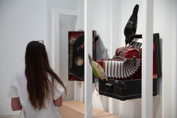 Landesgalerie Niederösterreich: We are Everywhere. The Cliffhanger Collection (22.5. - 12.9.2021) https://www.lgnoe.at/en/exhibitions/11-steinbrener-dempf-huber | Foto: eSeL Foto: eSeL.at - Lorenz Seidler