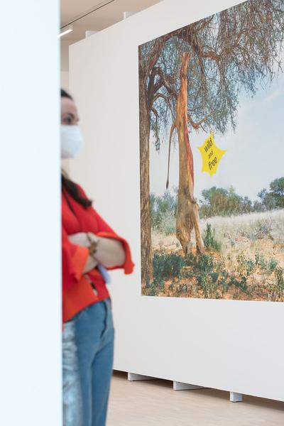 Landesgalerie Niederösterreich: We are Everywhere. The Cliffhanger Collection (22.5. - 12.9.2021) https://www.lgnoe.at/en/exhibitions/11-steinbrener-dempf-huber | Foto: eSeL Foto: eSeL.at - Lorenz Seidler