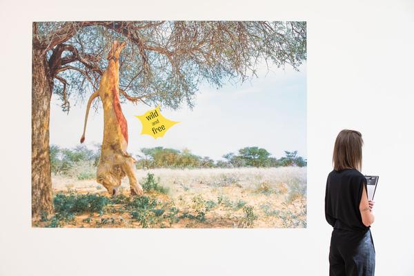 Landesgalerie Niederösterreich: We are Everywhere. The Cliffhanger Collection (22.5. - 12.9.2021) https://www.lgnoe.at/en/exhibitions/11-steinbrener-dempf-huber | Foto: eSeL Foto: eSeL.at - Lorenz Seidler