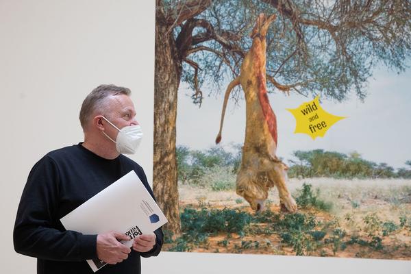 Landesgalerie Niederösterreich: We are Everywhere. The Cliffhanger Collection (22.5. - 12.9.2021) https://www.lgnoe.at/en/exhibitions/11-steinbrener-dempf-huber | Foto: eSeL Foto: eSeL.at - Lorenz Seidler