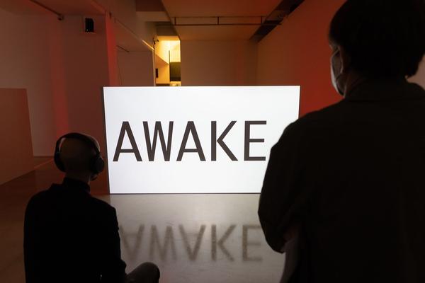 Kunstraum Niederösterreich: Wake Words (1.10. - 27.11.2021, Eröffnung) Fotos: eSeL.at - Lorenz Seidler Foto: eSeL Lorenz Seidler