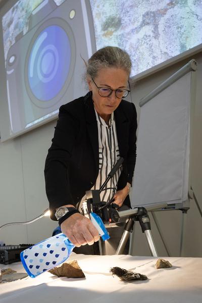 Zoom Kindermuseum: Wiener Kindervorlesung: Ulrike Ruprecht "Forschen zwischen Pinguinen und Gletschern" (3.4.2022) Foto: eSeL.at - Lorenz Seidler Foto: eSeL Lorenz Seidler