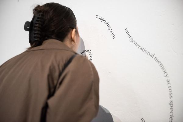 das weisse haus: „and so on“ (Eröffnung Vienna Art Week, 24.11.2022 - 4.2.2023) Foto: eSeL.at - Joanna Pianka Foto: Joanna Pianka