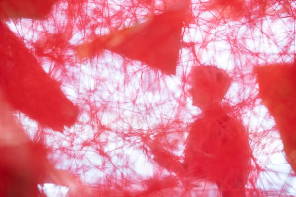 Landesgalerie Niederösterreich: Chiharu Shiota "Across the River" (11.6.2022 - 15.1.2023) Foto: eSeL.at - Lorenz Seidler Foto: eSeL Lorenz Seidler