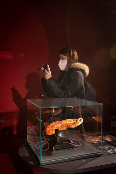 Unteres Belvedere: Dalí – Freud. Eine Obsession (28.1. - 29.5.2022) Foto: eSeL.at - Lorenz Seidler Foto: eSeL Lorenz Seidler