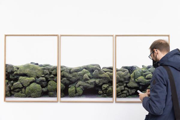  Foto: eSeL Lorenz Seidler