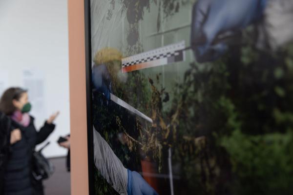 Foto: eSeL Lorenz Seidler