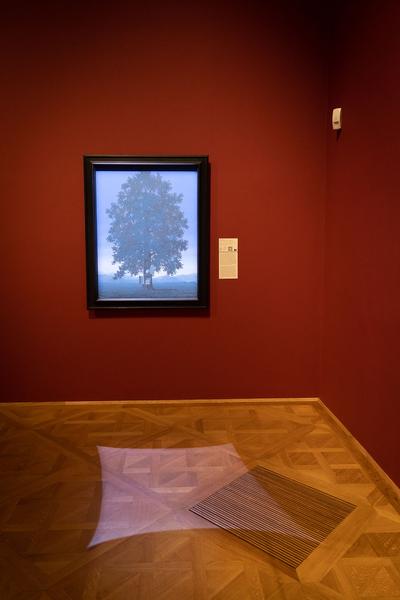 Unteres Belvedere: GROW. Der Baum in der Kunst (23.9.2022 - 8.1.2023) Foto: eSeL.at - Lorenz Seidler Foto: eSeL Lorenz Seidler