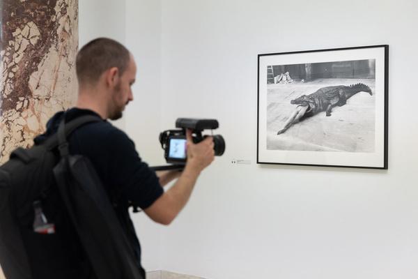 Kunstforum Wien: Helmut Newton - Legacy (19.10.2022 – 15.01.2023) Foto: eSeL.at - Lorenz Seidler Foto: eSeL Lorenz Seidler