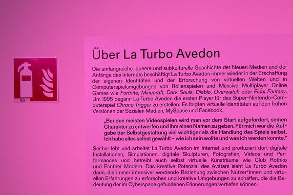 MAK Galerie: La Turbo Avedon: Pardon or Dust (22.6. - 25.9.2022) Foto: eSeL.at - Lorenz Seidler Foto: eSeL Lorenz Seidler