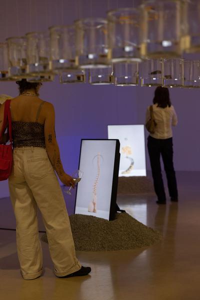 Kunstraum Niederösterreich: Liminal Space Records (Eröffnung, 4.6. - 30.7.2022) Foto: eSeL.at - Lorenz Seidler Foto: eSeL Lorenz Seidler