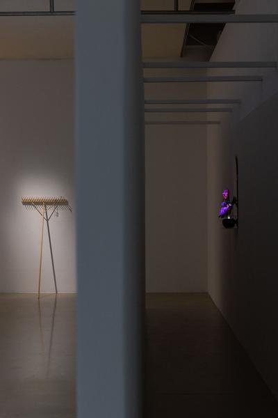 Kunstraum Niederösterreich: Dorota Gawęda & Eglė Kulbokaitė "Oh, make your fingernails into spades, Your palms into shovels" (31.3. - 14.5.2022) Foto: eSeL.at - Lorenz Seidler Foto: eSeL Lorenz Seidler
