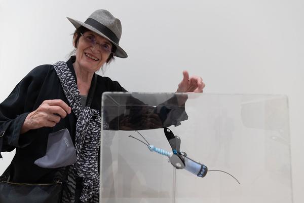 Landesgalerie Niederösterreich: Rendez-Vouz mit der Sammlung. Kunst von 1960 bis Heute (Eröffnung, 22.5.2022) Foto: eSeL.at - Lorenz Seidler Foto: eSeL Lorenz Seidler