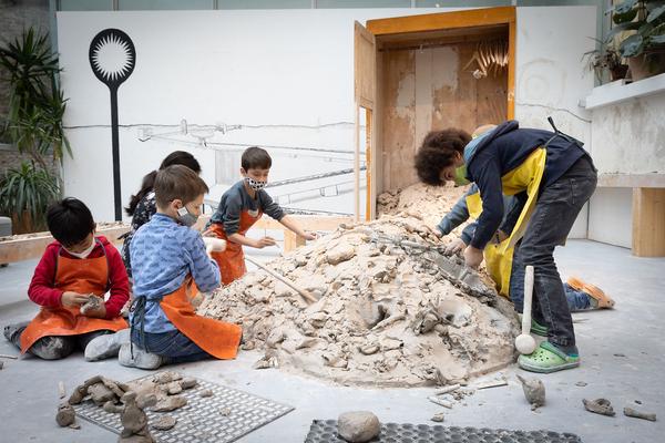 Zoom Kindermuseum: "Ton- und Gipsgeschichten im Möbelwald" Workshops für Kinder von 3 bis 12 Jahren (Zoom Atelier) Foto: eSeL.at - Lorenz Seidler Foto: eSeL Lorenz Seidler
