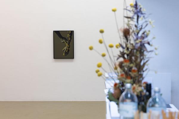 VIENNA ART WEEK / Galerie Crone: Künstlergespräch Eckart Hahn (22.11.2022)  Foto: eSeL.at - Lorenz Seidler Foto: eSeL Lorenz Seidler