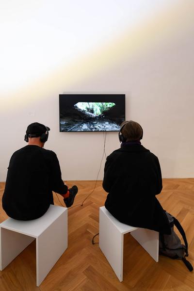 A...kademie Exhibit Galerie: Bordering Plants (10.11.2023–18.2.2024) Foto: eSeL.at - Joanna Pianka Foto: Joanna Pianka