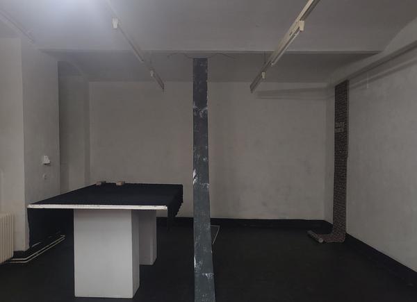 basement: "Definitiv: Kunst!" (5.5.2023) Foto: eSeL.at - Fricka "FLiege" Lindemann