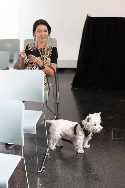  Foto: eSeL Lorenz Seidler