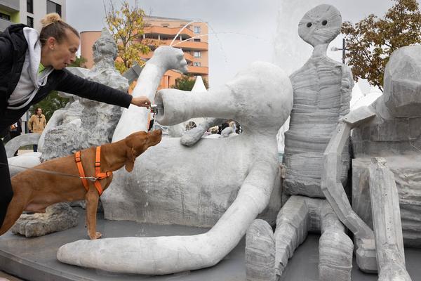  Foto: eSeL Lorenz Seidler