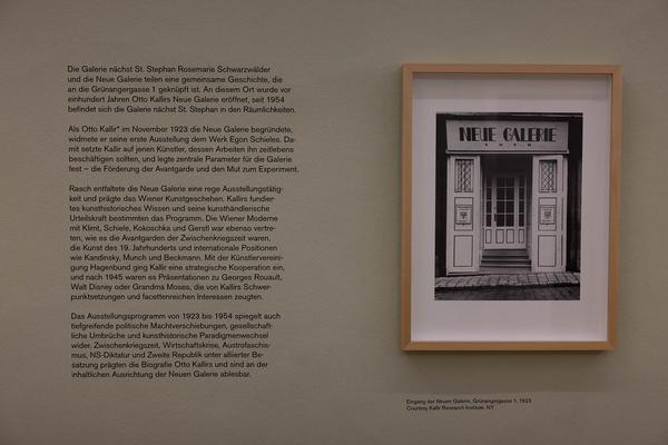 Galerie nächst St. Stephan: Grünangergasse 1 - Otto Kallir und die Neue Galerie in zeithistorischen Dokumenten 1923–1954 (10.11.2023 - 20.1.2024) Foto: eSeL.at - Lorenz Seidler Foto: eSeL Lorenz Seidler
