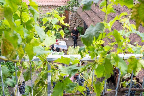 Haus lebt. Über die Zeit, das Unfertige und das Entstehende (Hartberg, 1.9.2023) Foto: eSeL.at - Christian Tietge Foto: eSeL.at - Christian Tietge