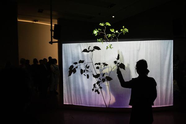 Kunsthalle Wien / Wiener Festwochen: Laure Prouvost "Ohmmm age Oma je ohomma mama" (11.5. - 1.10.2023) Foto: eSeL.at - Lorenz Seidler Foto: eSeL Lorenz Seidler