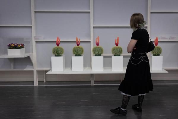 Belvedere 21: Renate Bertlmann "Fragile Obsessionen" (28.9.2023 - 3.3.2024) Foto: eSeL.at - Lorenz Seidler Foto: eSeL Lorenz Seidler