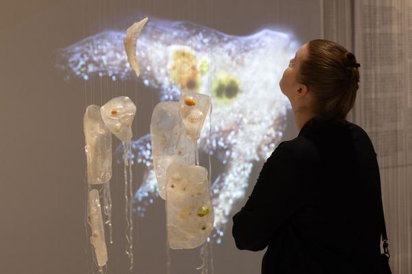 MAK: Sonja Bäumel "Entangled Relations - Animated Bodies" (1.2 - 30.4.2023 ) Foto: eSeL.at - Lorenz Seidler Foto: eSeL Lorenz Seidler