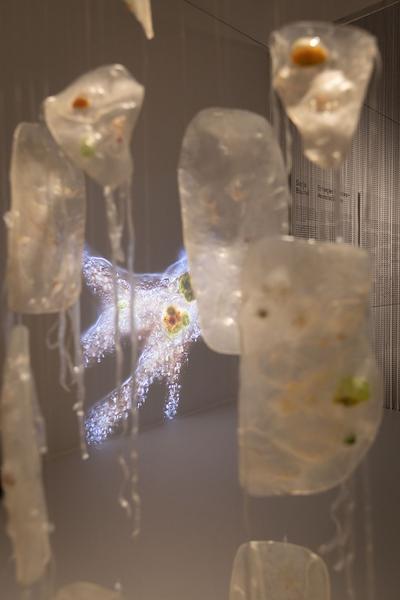 MAK: Sonja Bäumel "Entangled Relations - Animated Bodies" (1.2 - 30.4.2023 ) Foto: eSeL.at - Lorenz Seidler Foto: eSeL Lorenz Seidler