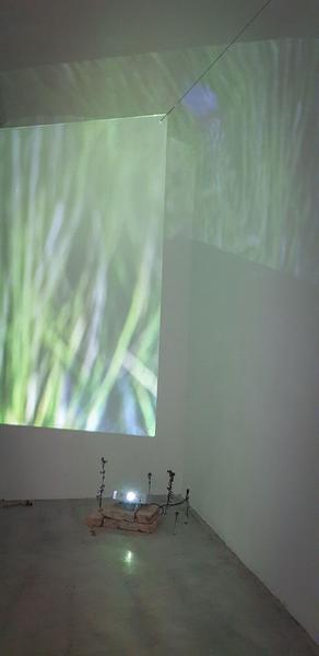 WAF galerie – kunstbuero: "Tense Fields" Lukas Gritzner & Nikita Zhukovskiy Trachtenberg (14.4. - 18.5.2023) Foto: eSeL.at / eSeLSCHWARM - Seaslug Foto: eSeL.at / eSeLSCHWARM - Seaslug
