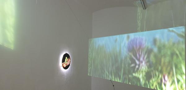 WAF galerie – kunstbuero: "Tense Fields" Lukas Gritzner & Nikita Zhukovskiy Trachtenberg (14.4. - 18.5.2023) Foto: eSeL.at / eSeLSCHWARM - Seaslug Foto: eSeL.at / eSeLSCHWARM - Seaslug