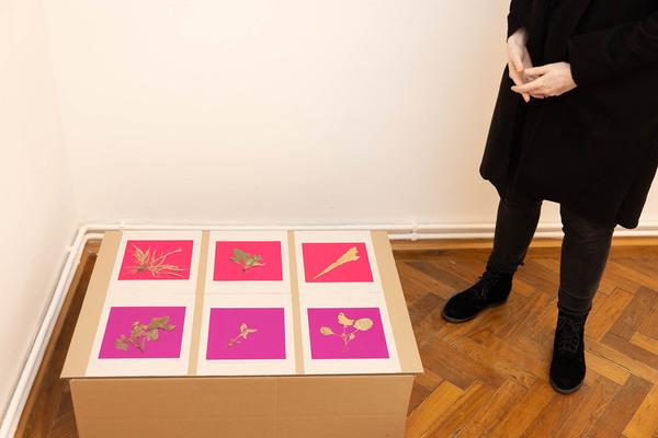 VIENNA ART WEEK 2023 Open Studio Days: Lena Lieselotte Schuster (11.11. & 12.11.2023) Foto: eSeL.at - Lorenz Seidler Foto: eSeL Lorenz Seidler