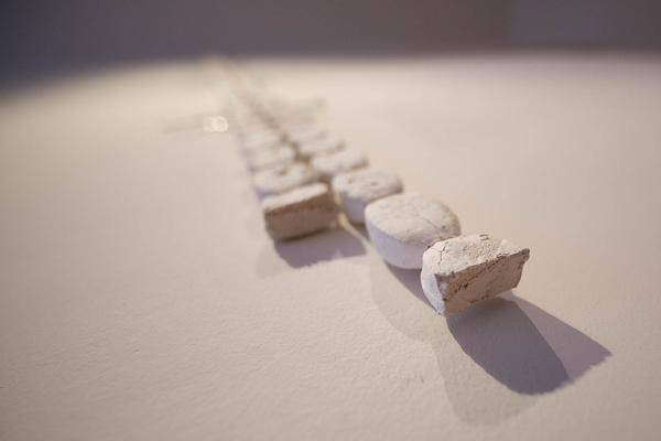 Akademie der bildenden Künste Wien (Exhibit Studio Schillerplatz): All you have is not just Flesh and Bones (14.03. - 26.05.2024) Foto: Felix Kubitza