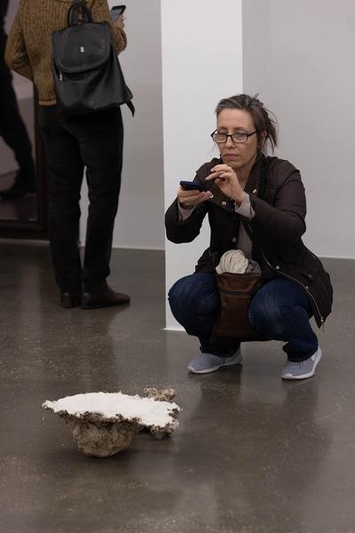 Belvedere 21: Angelika Loderer "Soil Fictions" (6.3. - 15.9.2024) Foto: eSeL.at - Lorenz Seidler Foto: eSeL Lorenz Seidler
