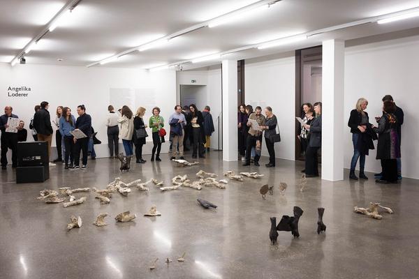 Belvedere 21: Angelika Loderer "Soil Fictions" (6.3. - 15.9.2024) Foto: eSeL.at - Lorenz Seidler Foto: eSeL Lorenz Seidler