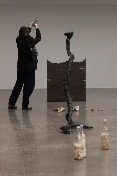 Belvedere 21: Angelika Loderer "Soil Fictions" (6.3. - 15.9.2024) Foto: eSeL.at - Lorenz Seidler Foto: eSeL Lorenz Seidler