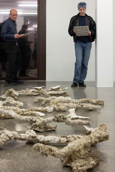 Belvedere 21: Angelika Loderer "Soil Fictions" (6.3. - 15.9.2024) Foto: eSeL.at - Lorenz Seidler Foto: eSeL Lorenz Seidler