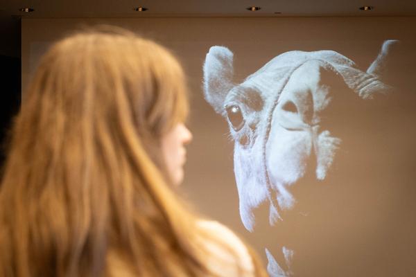  Foto: eSeL Lorenz Seidler