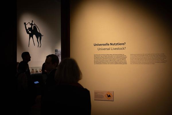  Foto: eSeL Lorenz Seidler