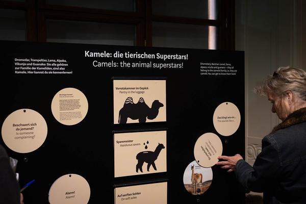  Foto: eSeL Lorenz Seidler