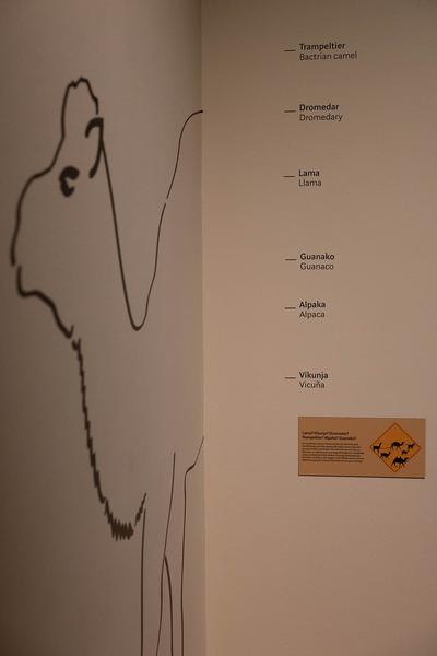  Foto: eSeL Lorenz Seidler