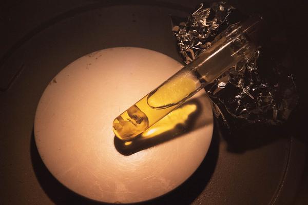  Foto: eSeL Lorenz Seidler