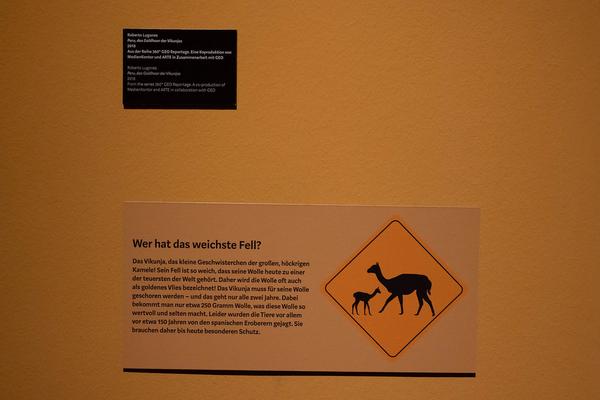  Foto: eSeL Lorenz Seidler