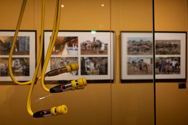  Foto: eSeL Lorenz Seidler