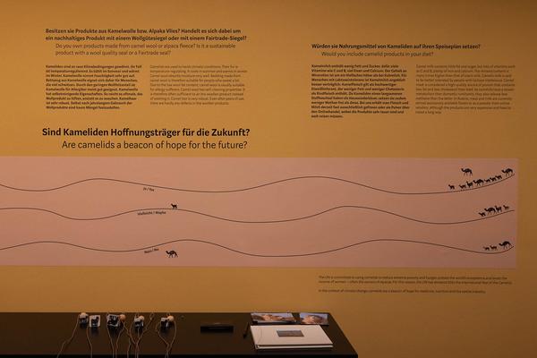  Foto: eSeL Lorenz Seidler
