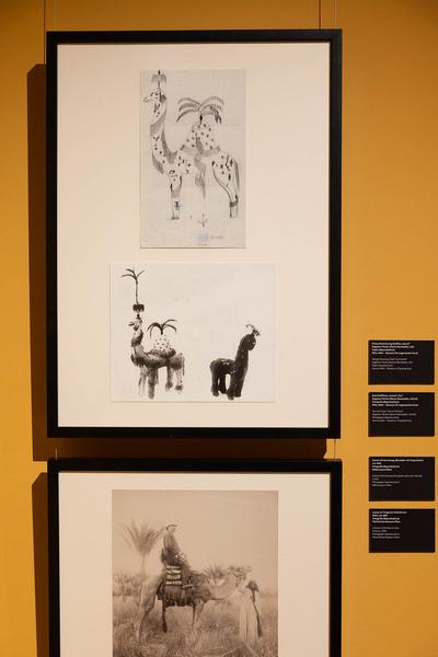  Foto: eSeL Lorenz Seidler